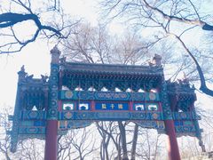 -北京国子监胡同