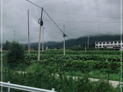 -丽江三义国际机场