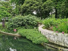 -成都市活水公园
