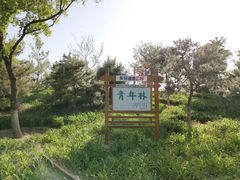 -东郊湿地公园