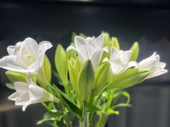-L'Arome芳芳法国餐厅(仙林金鹰店)
