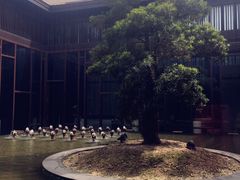 -上海崇明金茂凯悦酒店