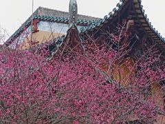 -南华禅寺