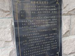 -生活林(河北路店)