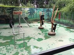 -西安秦岭野生动物园