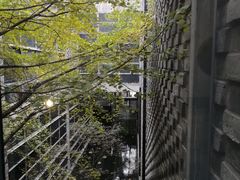 -苏州本色美术馆