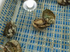 -天宝海鲜酒楼(开发区珠江道店)