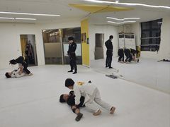 -勇气斑马·巴西柔术&跆拳道(浦东三林店)