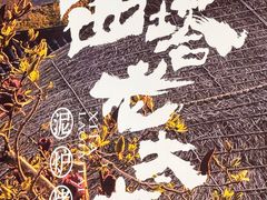 -西塔老太太泥炉烤肉(北京望京店)
