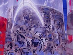 -华声天桥民俗文化园