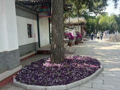 -丽泽山庄·生态怀柔菜·虹鳟鱼(红螺寺店)