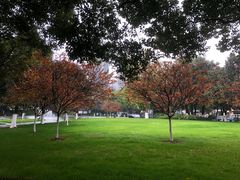 -常州古运河南大街文化旅游区-人民公园