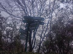 -紫金山天文台
