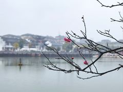 -八大山人梅湖景区