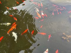 -长阳创谷