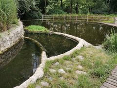 -成都市活水公园
