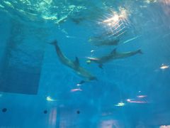 -华夏文旅西安度假区