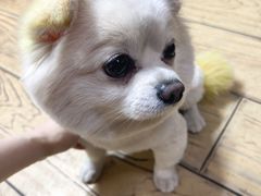 -红升老菜馆(巨兴街店)