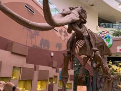 -陕西自然博物馆