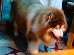 -老宅原住民沙茶面精品小吃(龙头路店)