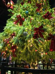 -幻贝家儿童乐园(苏州中心店)