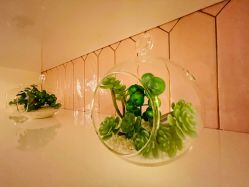 点击看大图 -Amo la Diva造型