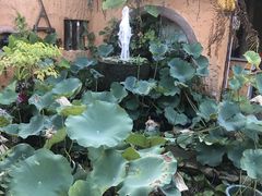 -园林美食城·本土农家菜(杨和镇店)