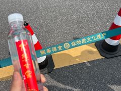 -龙华素斋(龙华路店)