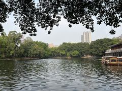 -荔湾湖公园