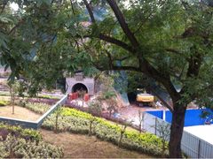 九华山公园-九华山公园