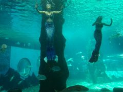 -北戴河圣蓝海洋公园