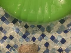 -北京乐多港万豪酒店汤乐宫温泉