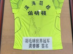 -伯明顿羽毛球(南开分馆)