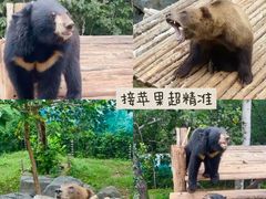 -济南野生动物世界