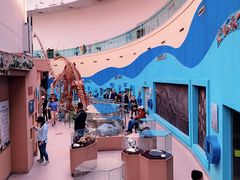 -陕西自然博物馆