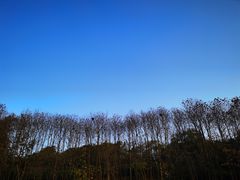 -宜兴龙背山森林公园