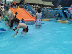 -青岛东方影都融创水世界