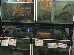 -顺峰渔港中国人的餐厅