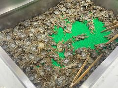 -初色海鲜自助(新辰里亚运村店)