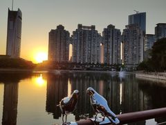 景点-西北湖绿化广场