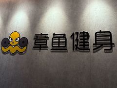 -章鱼健身 Octopus