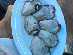 -濠轩阁特色生蚝火锅总店