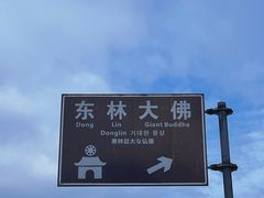 -庐山风景名胜区-东林大佛