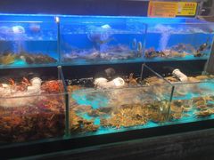 -苏格里岛自助烤肉海鲜火锅(成都金牛万达店)