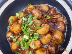 红烧芋艿煲-阿隆煲店(秀仁苑店)