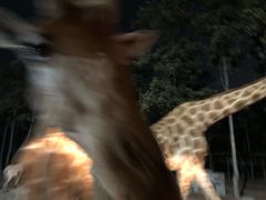 -清迈夜间动物园