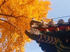 -承恩寺