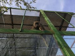 -新疆天山野生动物园