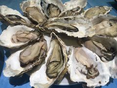 高压锅生蚝中一打-千岛蚝高压锅生蚝·人参火锅(白云万达店)