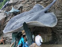 -海韵乐宿露营民宿